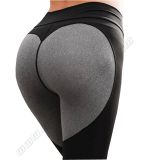 Women's Legging