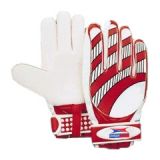 Goalkeeper Gloves