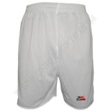 Mens Reversible Shorts